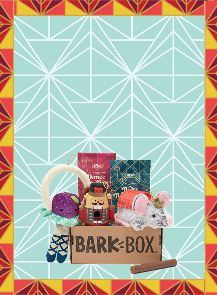 Monthly Themes BarkBox